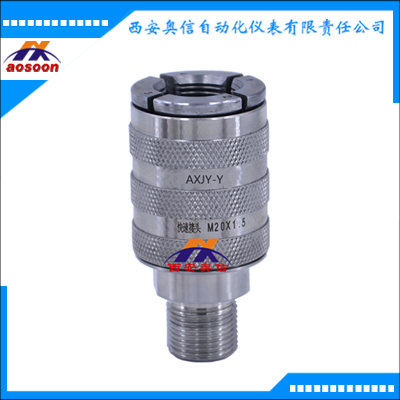 AXJY-Y压力表快速接头 自锁快速接头 快速校验接头